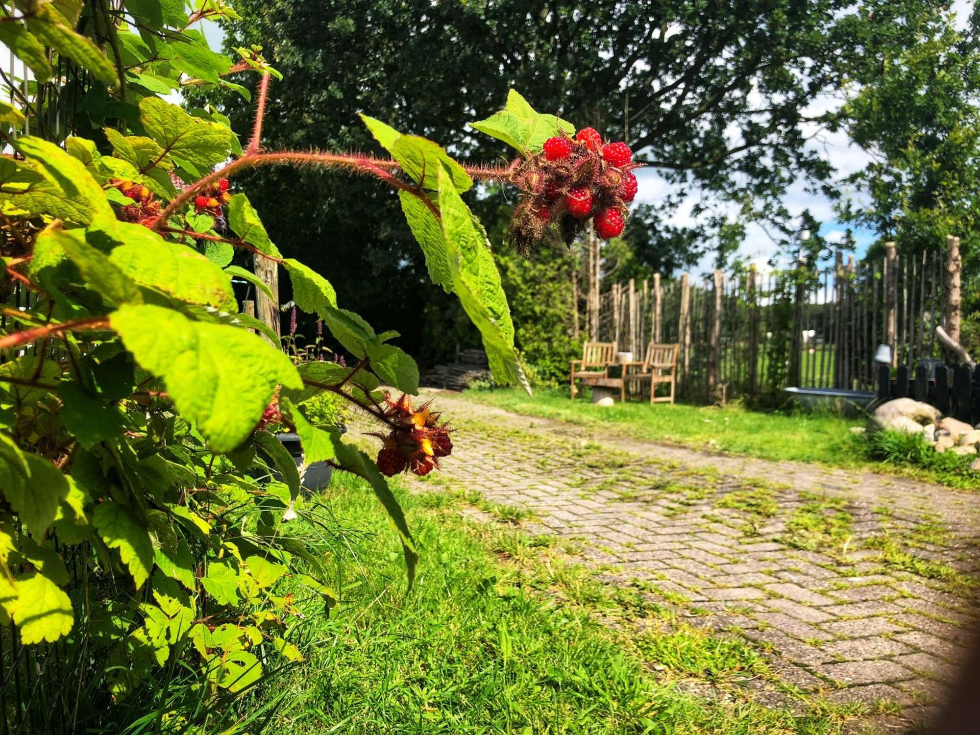 B&B Zandhuizen Екстериор снимка